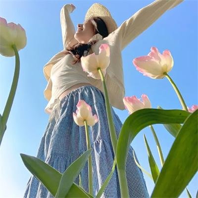 曲点鸳鸯谱
